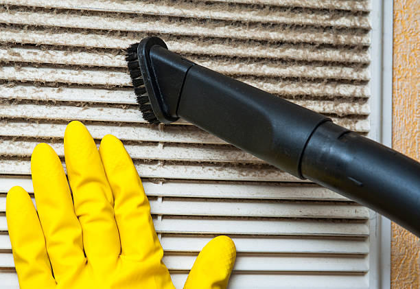 Air Duct Mold Removal in FL